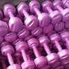 <h2>Conjunto de Halteres Coloridos em Cimento para Mulheres – Fortalecimento de Braços e Treinos em Casa</h2>