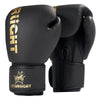 <h2>Luvas Profissionais de Boxe 8/10/12/14/16 oz – Para Muay Thai, Treinamento de Luta MMA para Homens e Mulheres</h2>