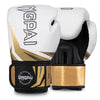 <h2>Luvas de Boxe Muay Thai 6 a 16 OZ – Luvas de Treinamento para Luta Livre, MMA e Kickboxing</h2>
