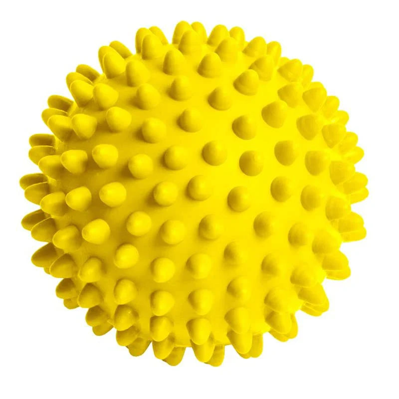 <h2>Bola de Massagem de Fisioterapia – Bola Dura de Lacrosse para Liberação Miofascial</h2>