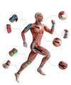 <h2>Fitas Kinesio Elásticas para Joelheiras – Bandagem Auto-Adesiva para Suporte e Recuperação Esportiva</h2>