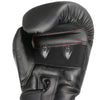 <h2>Luvas de Boxe Sanda Sparring 6/8/10/12oz para Crianças, Homens e Mulheres – Muay Thai, MMA, Karate, Kickboxing</h2>