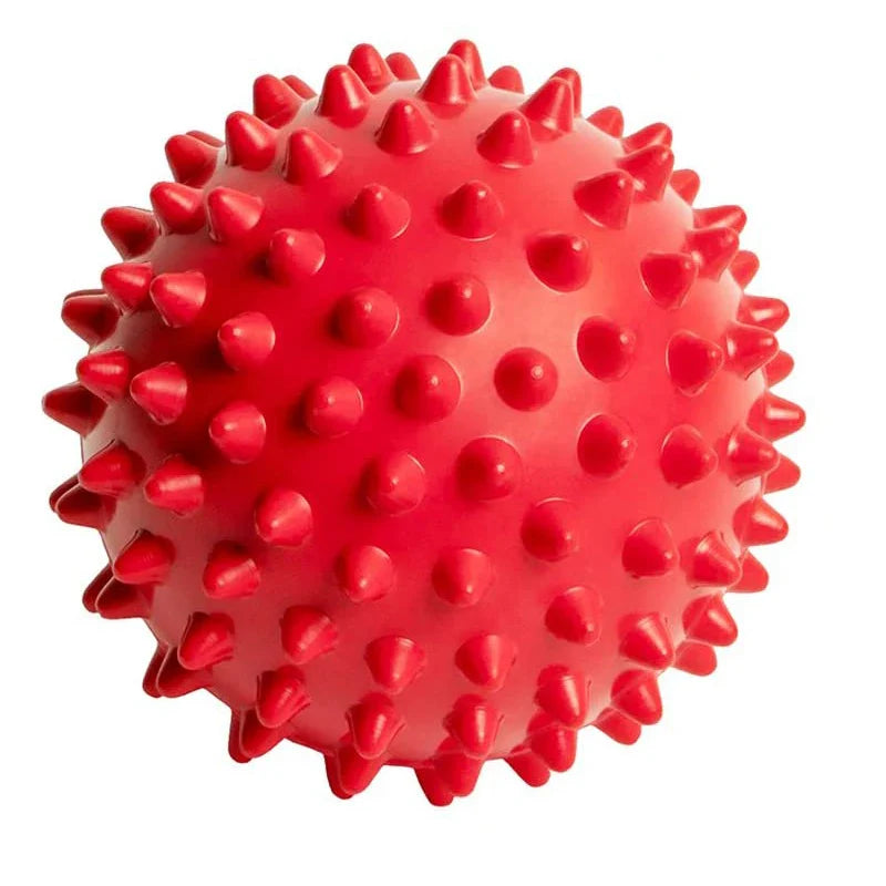 <h2>Bola de Massagem de Fisioterapia – Bola Dura de Lacrosse para Liberação Miofascial</h2>