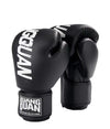 <h2>Luvas Profissionais de Boxe 8/10/12/14/16 oz – Para Muay Thai, Treinamento de Luta MMA para Homens e Mulheres</h2>