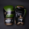 <h2>Luvas de Boxe para Homens, Mulheres e Crianças – Couro PU, MMA, Sanda, Kickboxing, 6 a 14 OZ</h2>